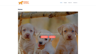 Thumbnail of familylabpuppies.com