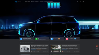 Thumbnail of cnlongo.com