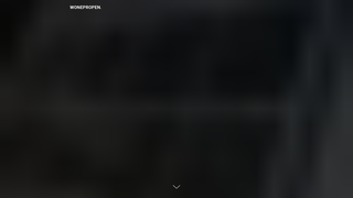 Thumbnail of wonepropen.com