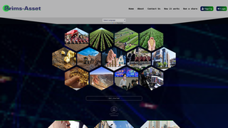 Thumbnail of brims-assets.net