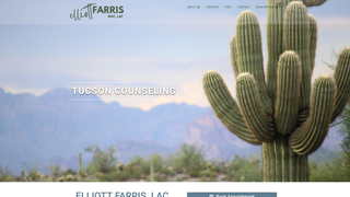 Thumbnail of elliottfarris.com