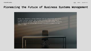 Thumbnail of the-erp-guru.com