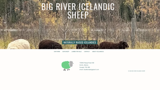 Thumbnail of bigriversheep.com