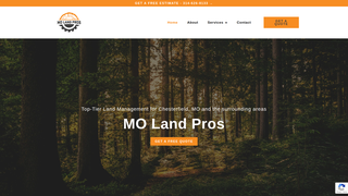 Thumbnail of molandpros.com