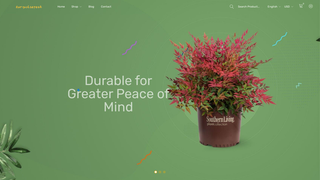 Thumbnail of turquoisepeak.com