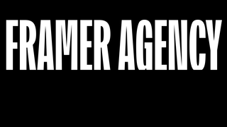 Thumbnail of theframeragency.com
