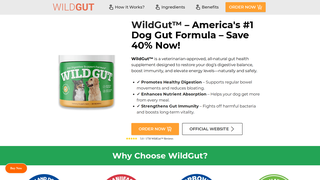 Thumbnail of us-eng-wildgut.com