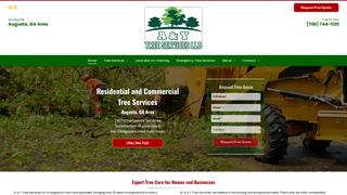 Thumbnail of aandytreeservices.com