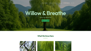 Thumbnail of willowandbreathe.com