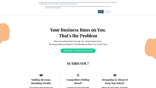 Thumbnail of therevsystem.com