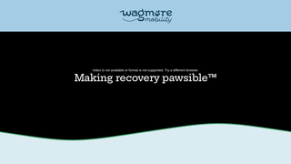 Screenshot of wagmoremobility.com