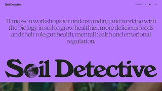 Thumbnail of soildetective.org