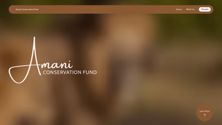 Thumbnail of amaniconservationfund.org