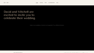 Thumbnail of davidandmitchellsbiggaywedding.com