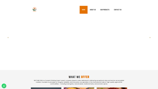 Thumbnail of anajaaglobal.com