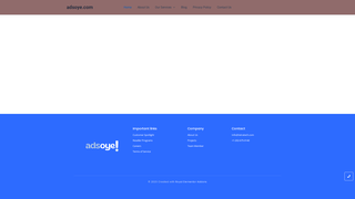 Thumbnail of adsoye.com