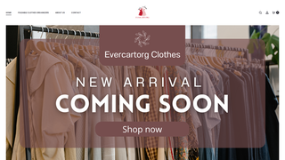 Thumbnail of evercartorg.com