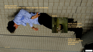 Thumbnail of beachpigeons.com