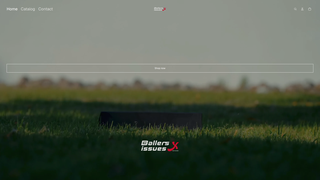 Thumbnail of sporters-issues.com
