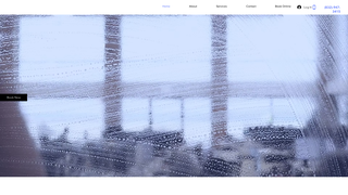 Thumbnail of everbrightwashing.com