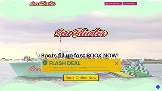 Thumbnail of destinseablasteradventures.com