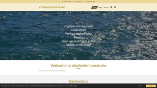 Thumbnail of charliedemoorstudio.com