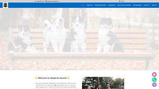 Thumbnail of adopt-an-aussie.com