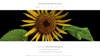 Thumbnail of ellishollowhealingarts.com