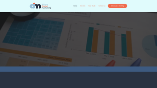 Thumbnail of altioradigitalmarketing.com