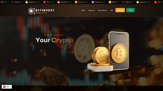 Thumbnail of bitinvest-digital.com