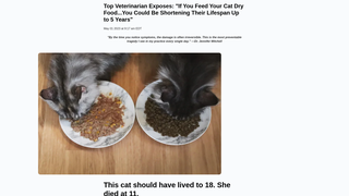 Thumbnail of purrcleaner.com