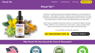 Thumbnail of pineaal10x.com