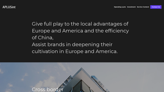 Thumbnail of aplusintsolution.com