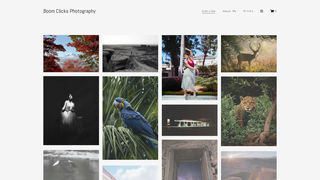 Thumbnail of boomclicksphotography.com