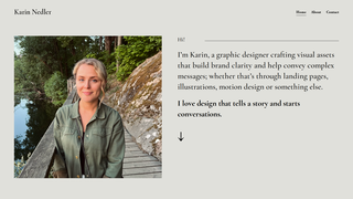 Thumbnail of karinnedler.com