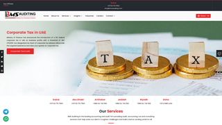 Screenshot of bmsglobalauditing.com