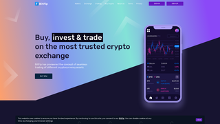 Thumbnail of bitfip.com