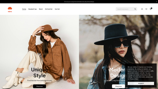 Thumbnail of peakstylehats.com