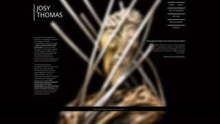 Site preview