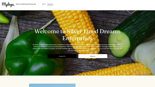 Thumbnail of silverlineddreams.net