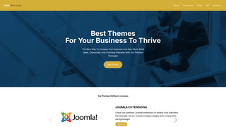 Thumbnail of orbitweblabs.com
