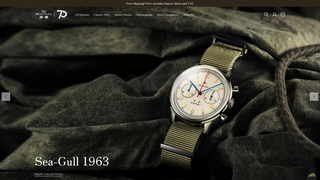 Thumbnail of seagullchrono.com