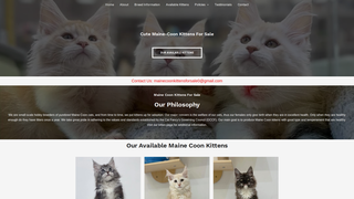 Thumbnail of mainecoonkiittensforsale.com