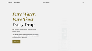 Thumbnail of tejalwater.com