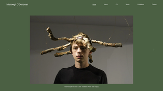 Thumbnail of murroughodonovan.com