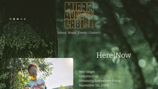Thumbnail of hiramaudiolabs.com