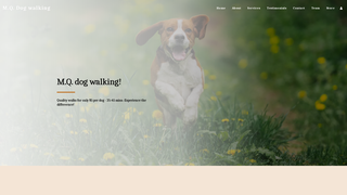 Thumbnail of mqdogwalking.com