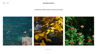 Thumbnail of thelittlearchive.com