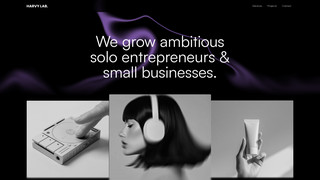 Thumbnail of harvylab.com