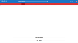 Thumbnail of hemtics.com